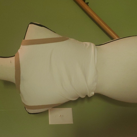 Cropped frog on toadstool top - Picture 3 of 3